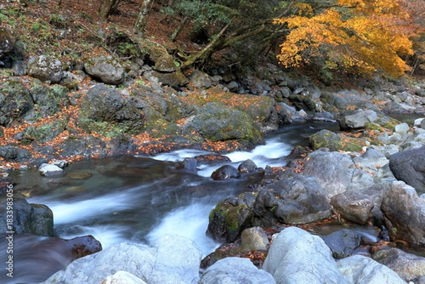 Obraz べふ峡　秋の川原　（高知県　香美市）