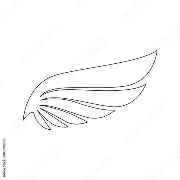 Obraz feather isolated on white