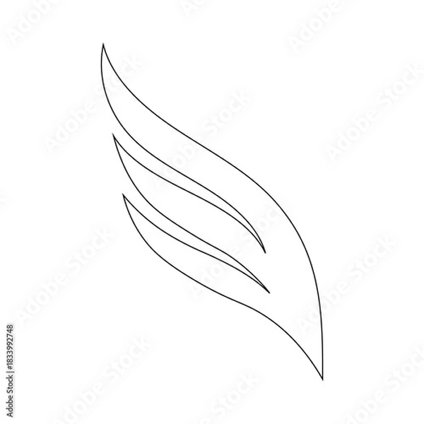Obraz feather on white background