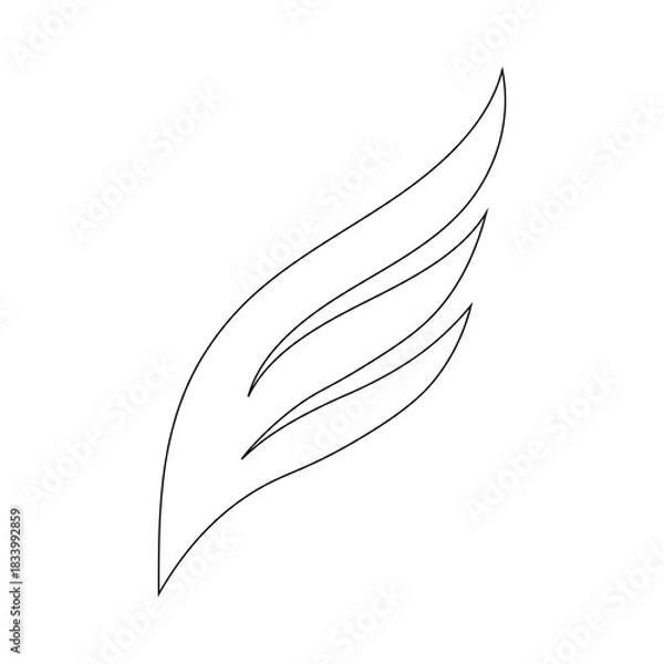 Obraz feather isolated on white