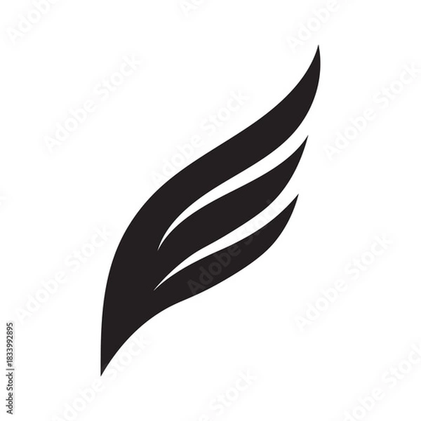 Obraz feather vector icon