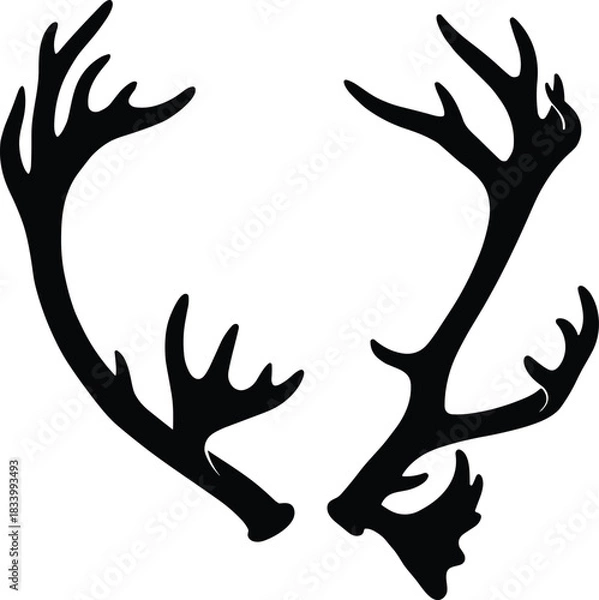 Fototapeta Deer Antlers Silhouette – Wide Spread Buck Horns Vector Illustration in Solid Black Isolated on Transparent Background