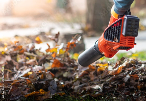 Obraz  Person using a leaf blower to clear the leaves