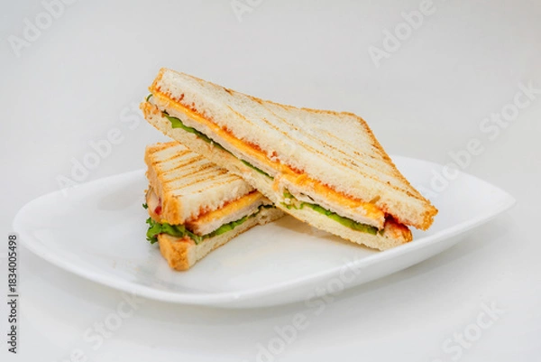 Obraz Grilled Sandwich with Vegetables