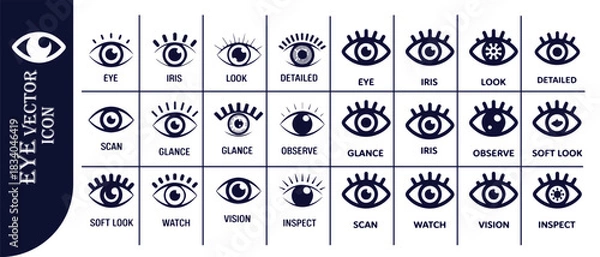 Obraz Eye vision icon set. collection of diverse eye symbols for various concepts, focusing on human sight