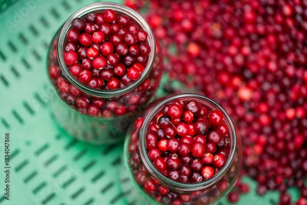 Obraz Close-up of two glass jars filled with fresh lingonberries on a green surface with scattered berries in the background.