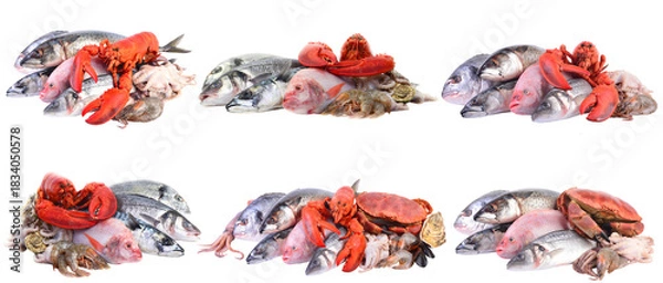Obraz Set fresh seafood isolated