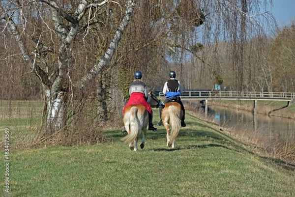 Obraz zwei Reiter im Gelände