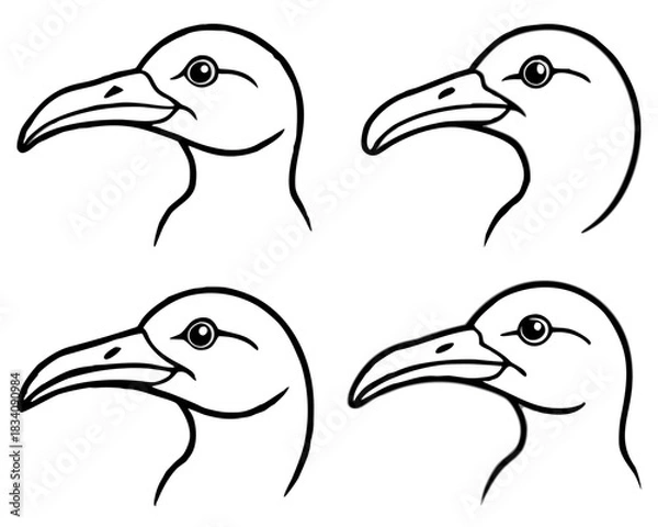 Obraz Four black and white line art illustrations of a seagull head in profile