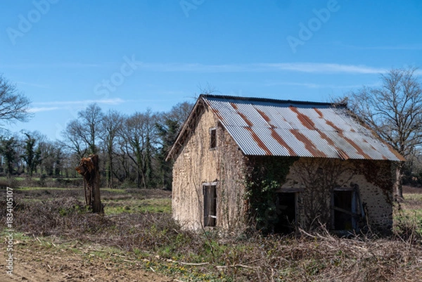 Fototapeta Rusted tin roofed house with ivy growing on it