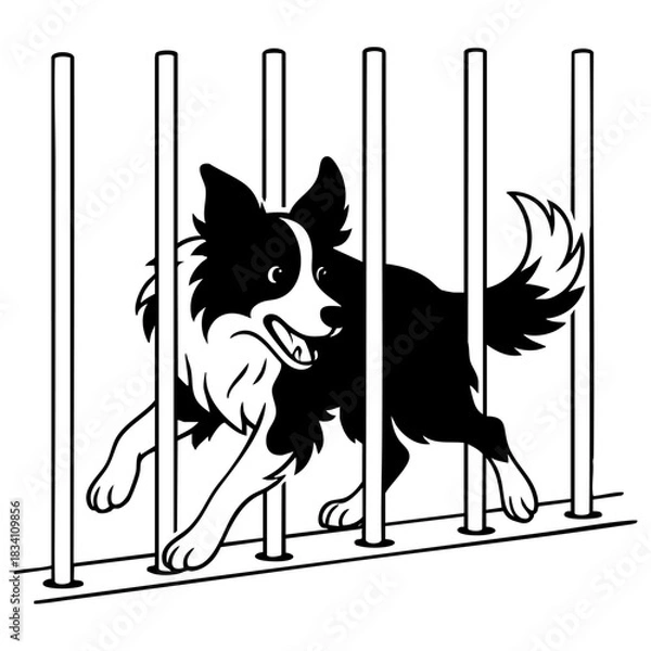 Fototapeta Border collie in weave poles in agility competition. Vector line art illustration