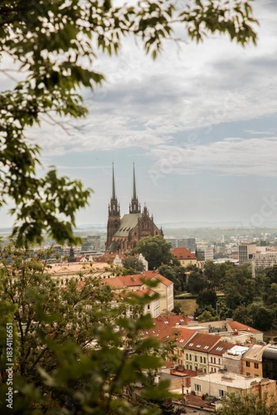 Fototapeta Aerial cityscape view of Brno with Cathedral of St. Peter and Paul rising above red rooftops, framed by green tree branches. Historic European architecture under a cloudy summer sky.