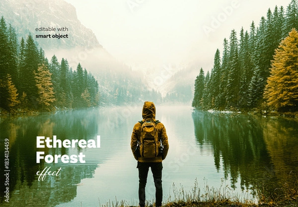 Fototapeta Ethereal Forest Photo Effect