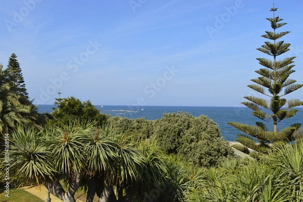 Obraz Horizonte com verde da vegetação e azul do céu e do mar