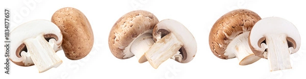 Fototapeta Three Fresh Mushrooms Displayed Against a Transparent Background Showing Brown Caps and White Sliced Sections