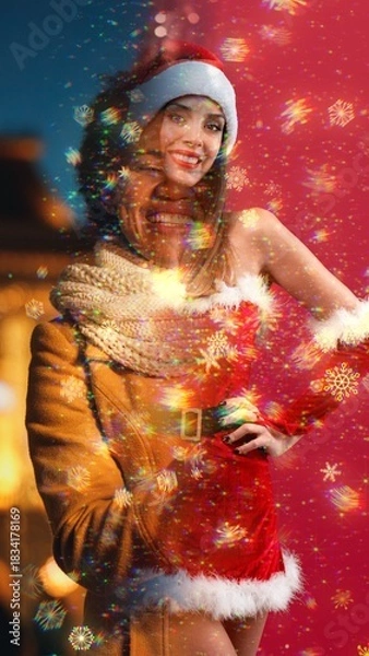 Obraz Vertical Snowflakes Transition 04