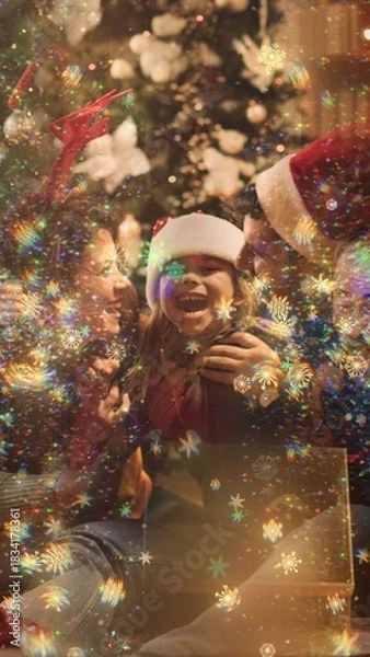 Obraz Vertical Snowflakes Transition 06