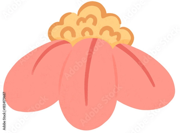 Fototapeta cute flower illustration with transparent background. Isolated floral doodle for flower arrangement, journaling, planner, greeting card, invitation, and decorative projects