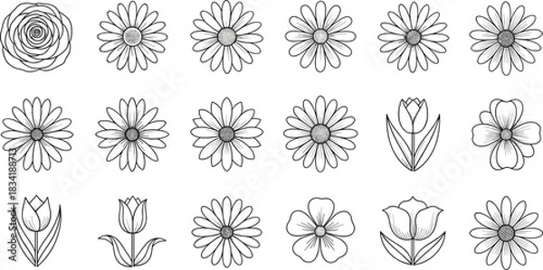Obraz Hand-Drawn Botanical Flower Line Art Collection Vector Illustration Set for Wedding Invitations and Natural Decoration Designs.