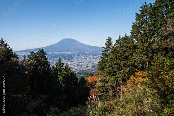 Obraz 神奈川県箱根金時山乙女峠から眺める富士山