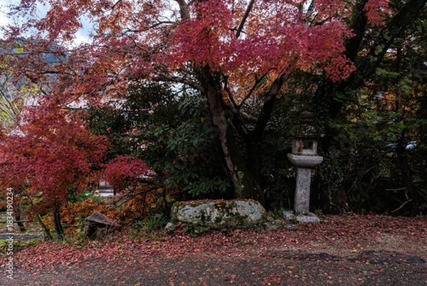 Obraz 京都府大原紅に染まる石灯籠の詩