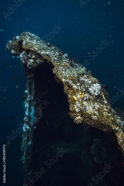 Fototapeta Wreck ship underwater in deep ocean