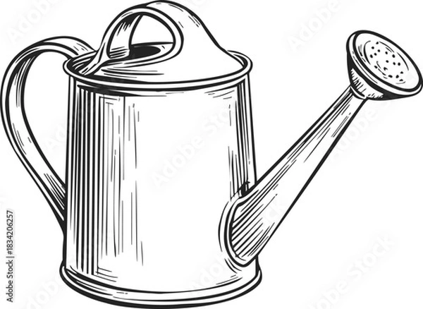 Obraz Watering can sketch hand drawn vintage style with long spout and rose. Vector illustration