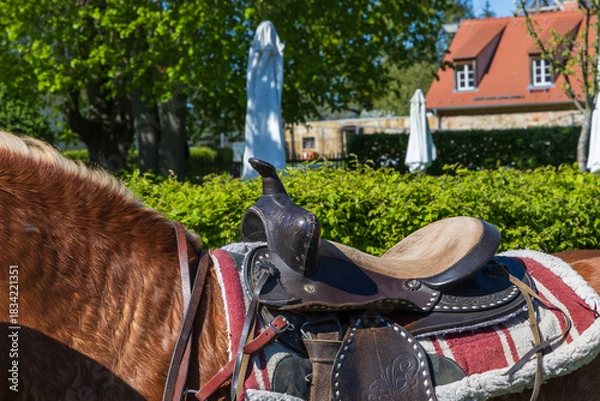 Fototapeta Close-up of a western saddle on a Haflinger horse's back. House with an orange roof and parasols in the background. Western riding, sunny day
