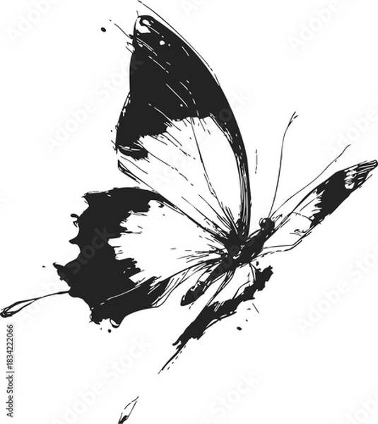 Fototapeta Butterfly sketch hand drawn black and white ink splatter style. Vector illustration