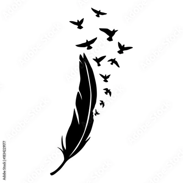 Obraz Black feather with birds