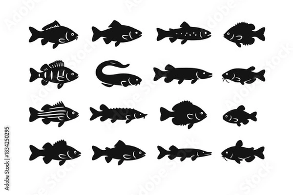 Fototapeta Collection of diverse fish silhouettes with varied shapes and features