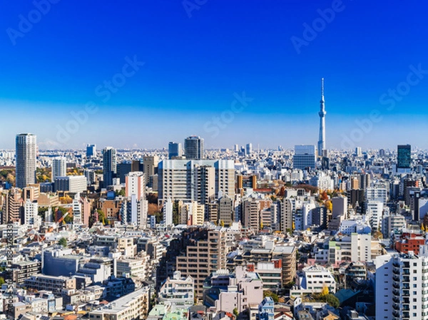 Obraz 東京都市風景