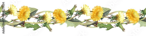 Fototapeta Seamless watercolor border with yellow dandelion flowers and leaves on an isolated background. Horizontal botanical illustration of wildflowers in natural tones for textiles, summer design.