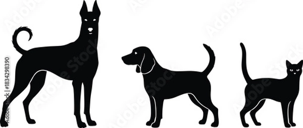 Fototapeta The definitive mega-vector-pack: an exhaustive collection of cheerful cartoon dog characters and detailed silhouettes of popular canine breeds for any design project.