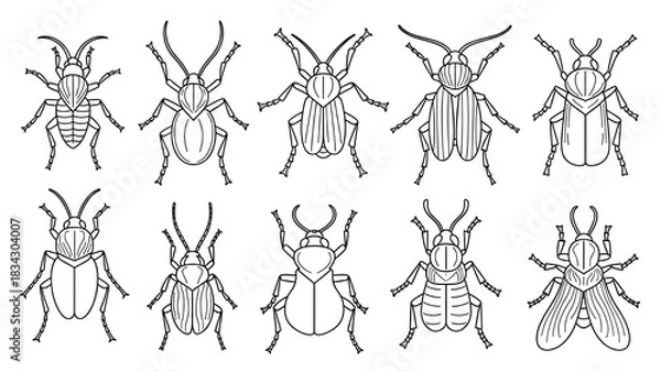 Fototapeta Insects Vector Line Art Set - Simple Outlines, Monochrome, Ideal for Children’s Books and Infographics