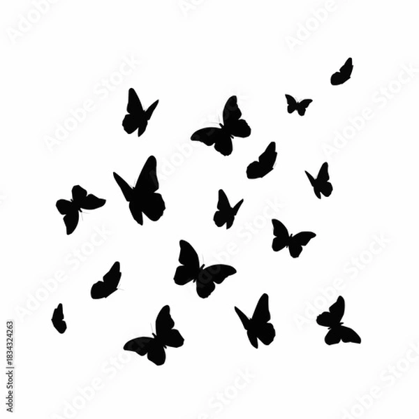 Fototapeta butterflies isolated on white