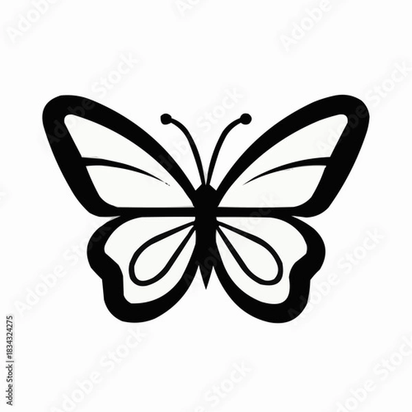 Obraz butterfly vector illustration