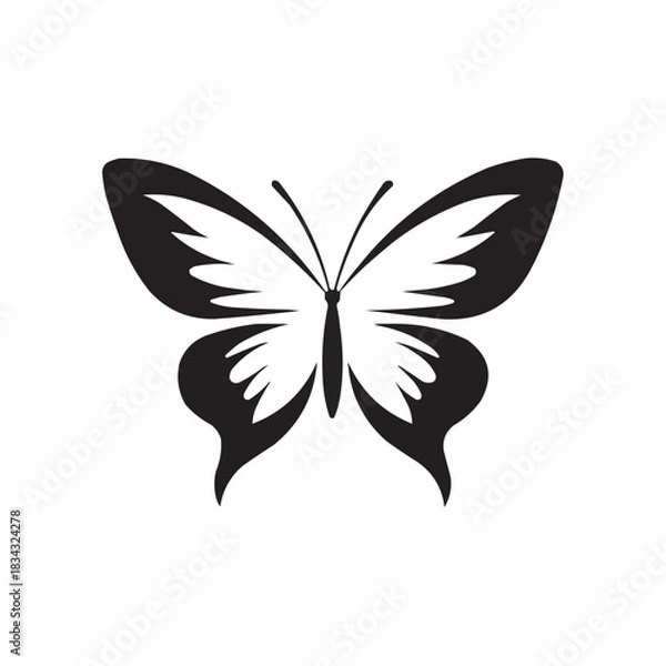 Obraz butterfly vector illustration