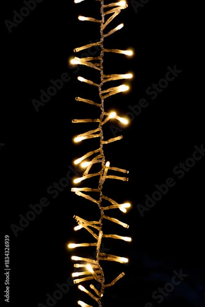 Obraz Close up of Vertical Christmas Lights glowing in the dark