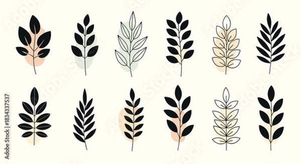 Obraz Set of minimalist branch illustrations with abstract color accents on a cream background.