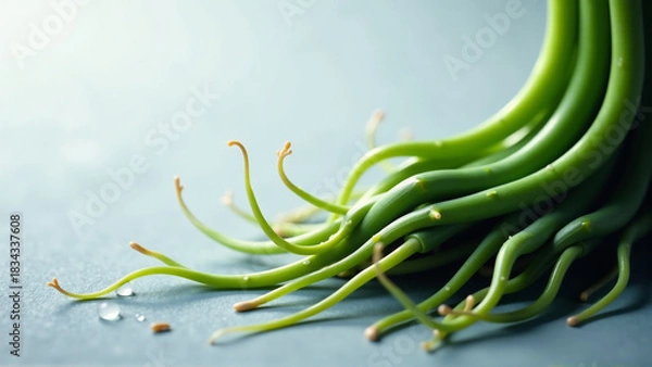 Fototapeta Organic Logic: Abstract Fusion of Life and Code