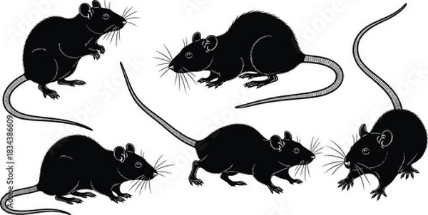 Fototapeta Traditional Chinese Dragon Silhouettes Vector Collection, Illustrating Oriental Mythological Creatures in Dynamic Poses, Emphasizing Power, Fortune, Asian Culture, Legend, and Detailed Fantasy Artwork