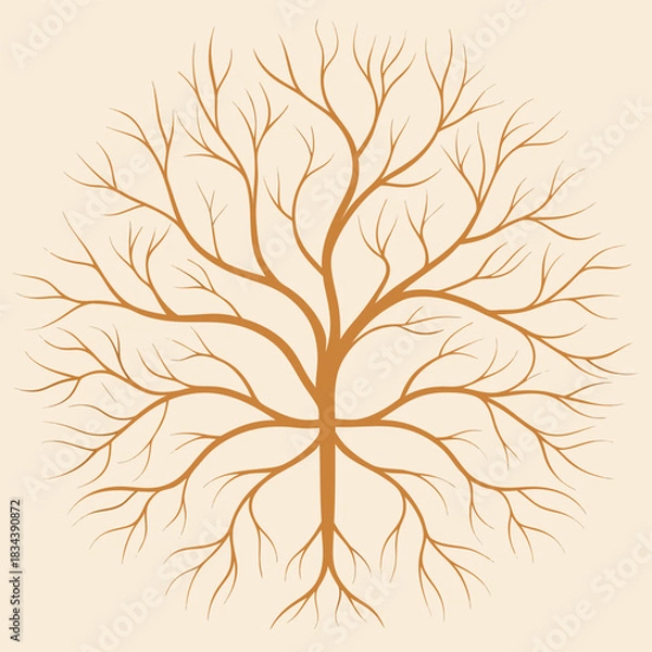 Fototapeta Stylized bare tree branches forming a circular symmetrical pattern on a light background vector illustration