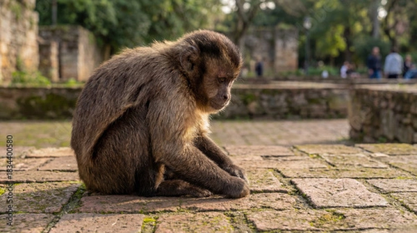Obraz mother and baby