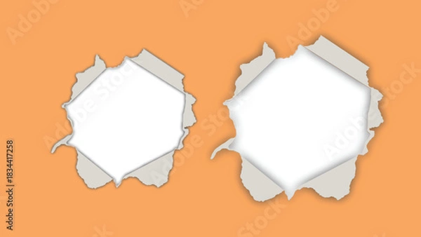 Obraz Torn paper with hole and rough edges