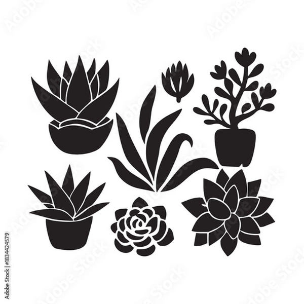 Fototapeta Vector file concept graphic illustration for digital design