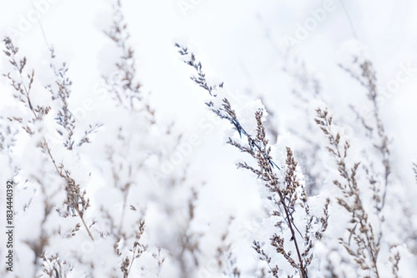 Obraz Winter landscape with snow