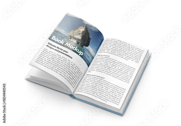 Fototapeta Book Mockup