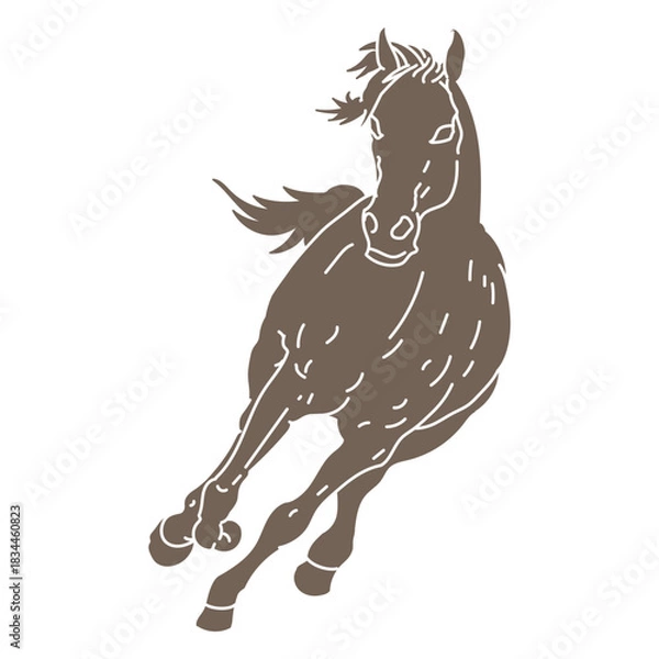 Obraz Running frontal horse cut out
