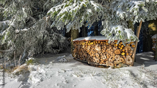 Obraz A neatly stacked woodpile in a snowy forest.